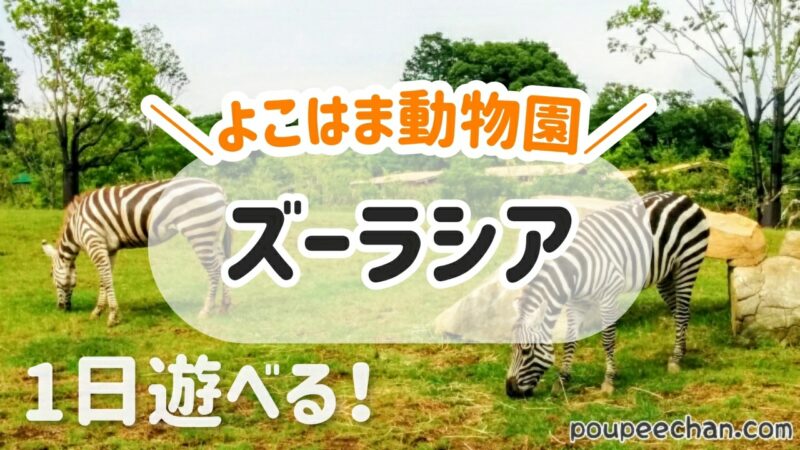 よこはま動物園ズーラシア